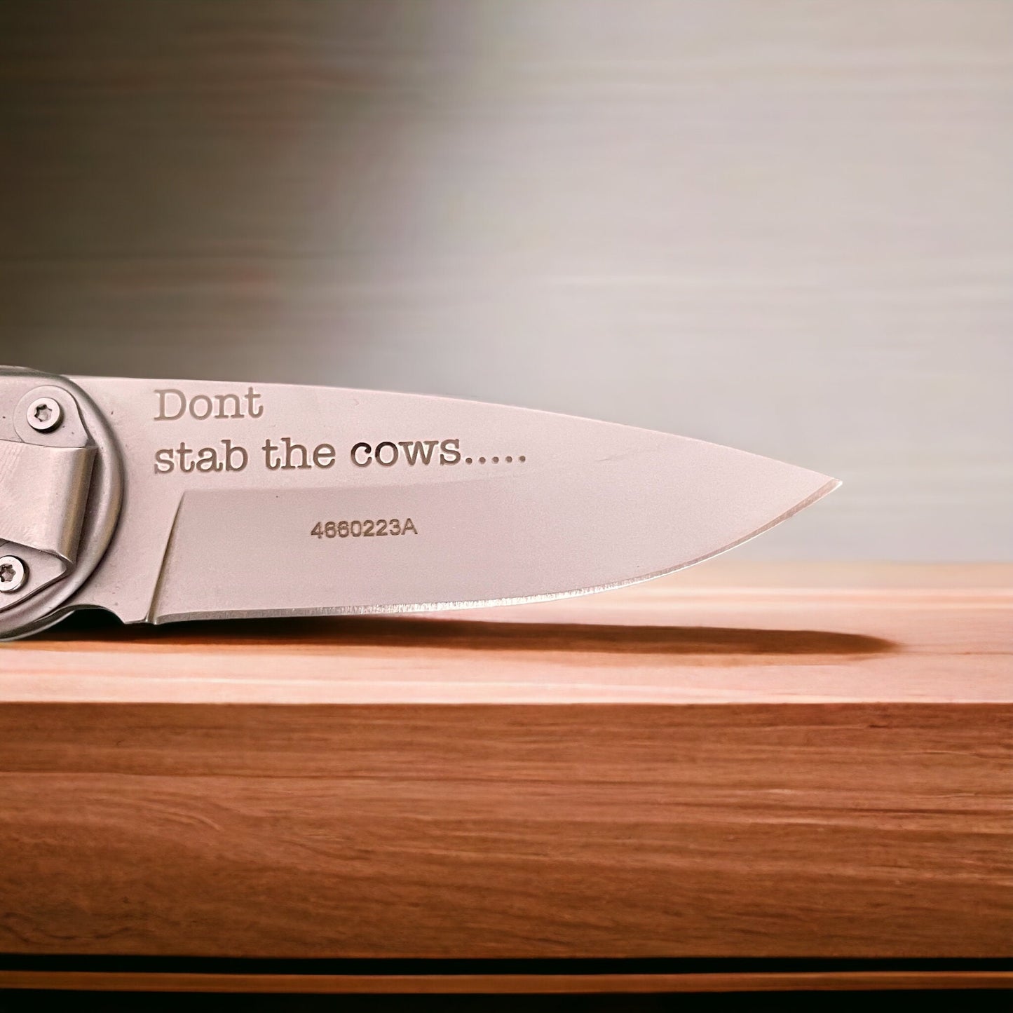 Legal Engraved Etched folding hobby camp outdoors daily pocket knife step dad gift present
